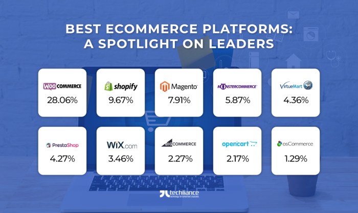 Platforms ecommerce cloudways